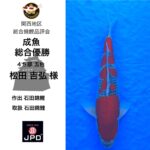 関西地区総合錦鯉品評会2024