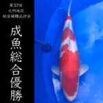 第32回九州地区総合錦鯉品評会