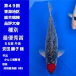 The 49th Tokai District Koi Show