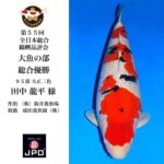 THE 55th ALL JAPAN CONBINED NISHIKIGOI SHOW