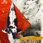 祝福大家新年快乐