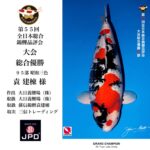 THE 55th ALL JAPAN CONBINED NISHIKIGOI SHOW 2025