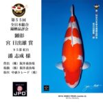 THE 55th ALL JAPAN CONBINED NISHIKIGOI SHOW 2025