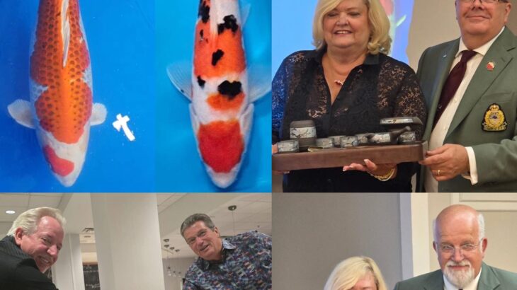 North Carolina Koi show 2025
