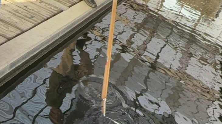 丸筑魚菀　訪問