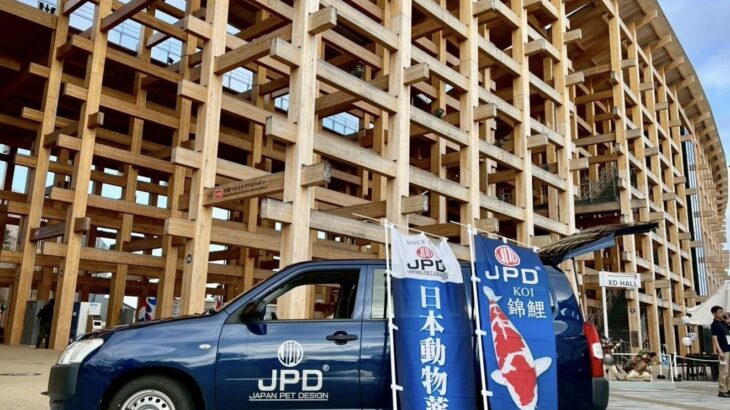 日本の文化錦鯉金魚を世界に