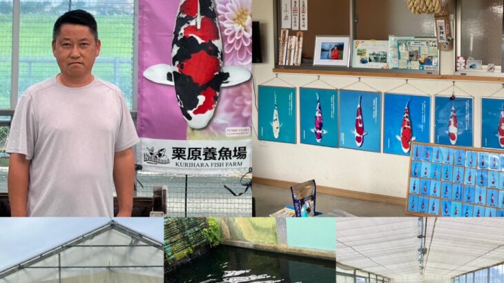 栗原養魚場様訪問