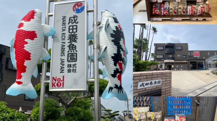 成田養魚園（株）様訪問