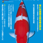月刊錦鯉様にてJPDオリジナル【FEEDER PRO】を特集していただきました！！