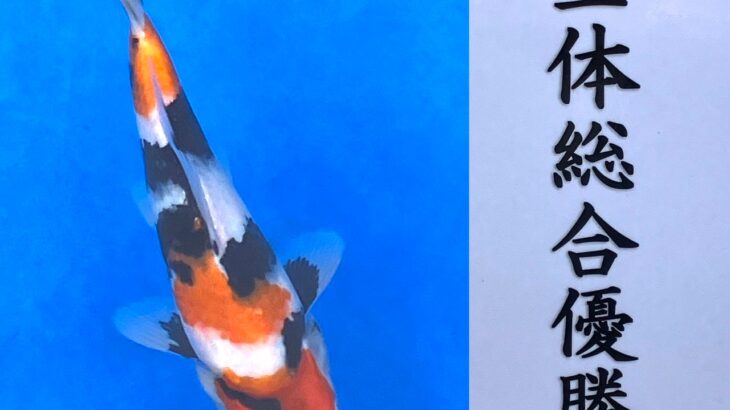 第22回千葉県合同田上がり品評会