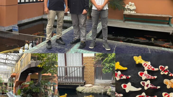 小西養鯉場様訪問