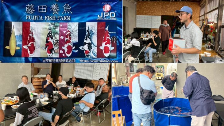 第1回藤田養魚池揚げ観賞会