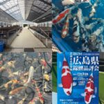 面迫養鯉場様訪問