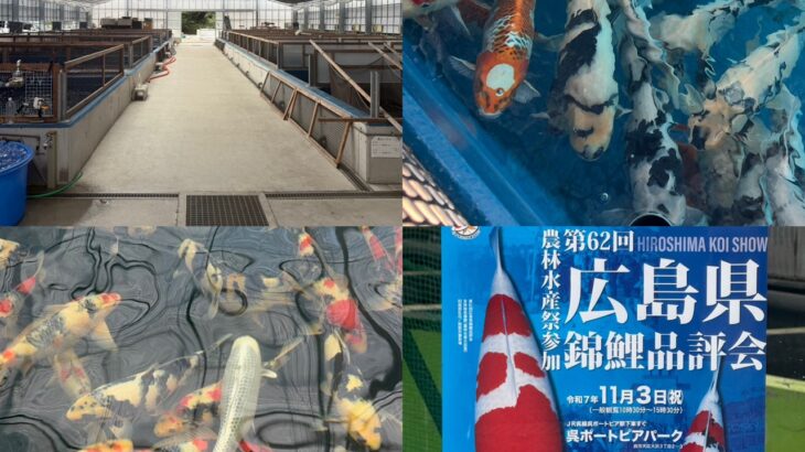 面迫養鯉場様訪問