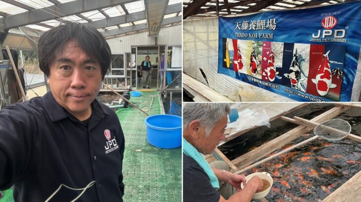 天藤養鯉場様　福井県