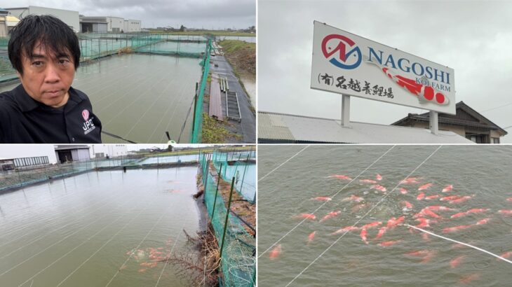 名越養鯉場様訪問　富山県