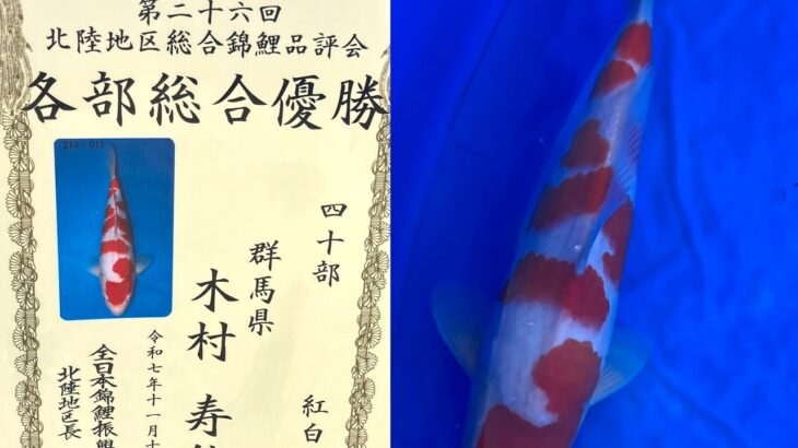 第26回北陸地区総合錦鯉品評会 受賞鯉⑤