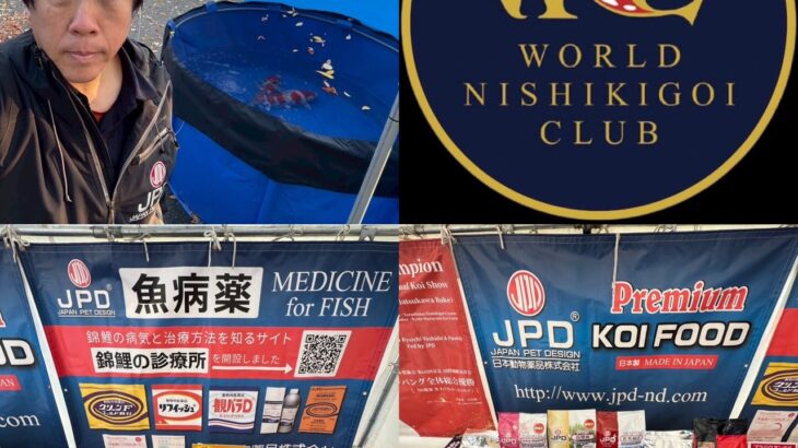 第2回ワールドニシキゴイショウ2025開催中