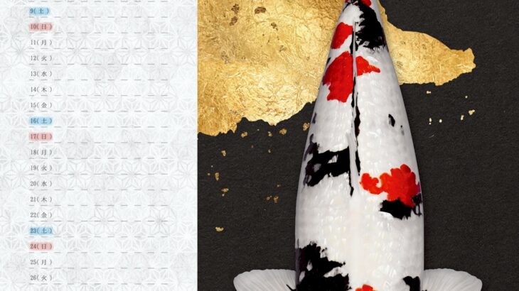 JPD2026年カレンダー 5月