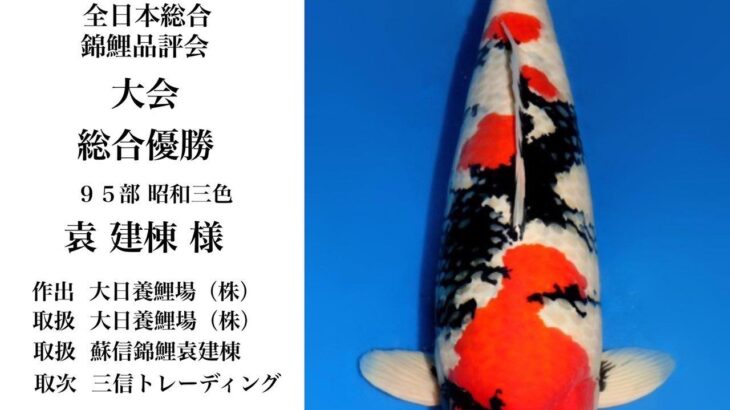 Who’s next All Japan Koi Show 2026.