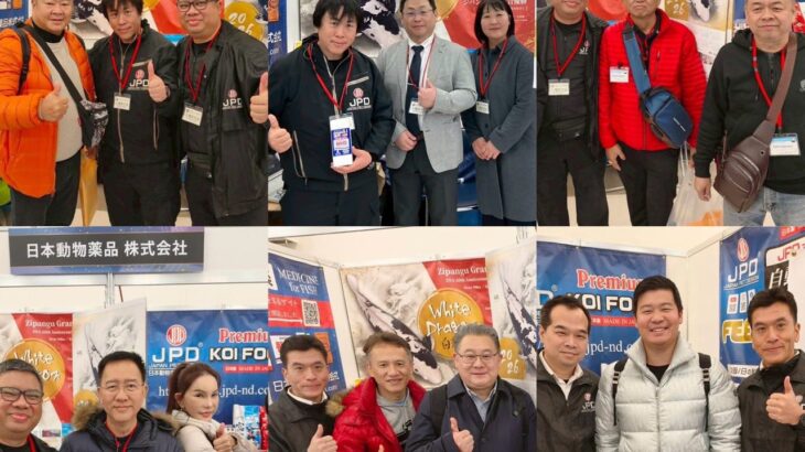 第56回全日本総合錦鯉品評会1日目ご来場頂き大変ありがとうございました。