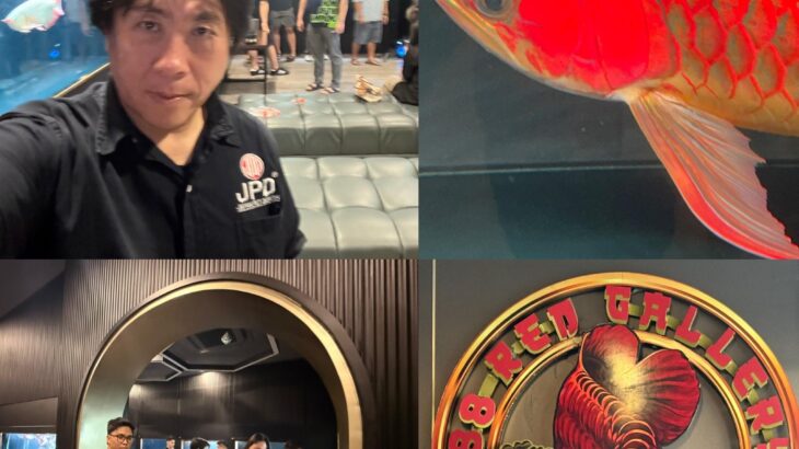 15 February in Indonesia