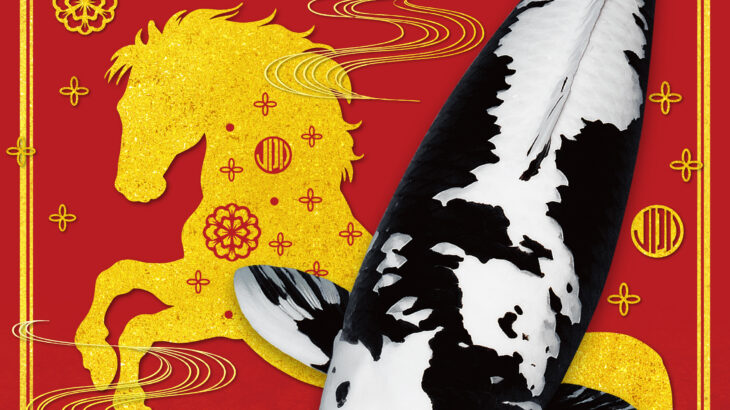 來自JPD的祝福，祝大家新年快乐