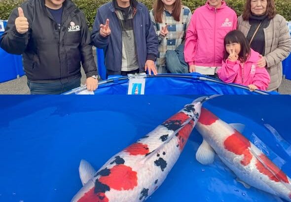 第50回記念近畿地区錦鯉品評会 入賞記録