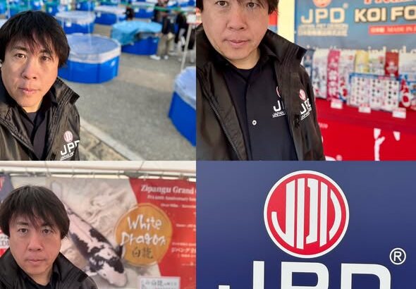 第42回錦鯉全国若鯉品評会　開催