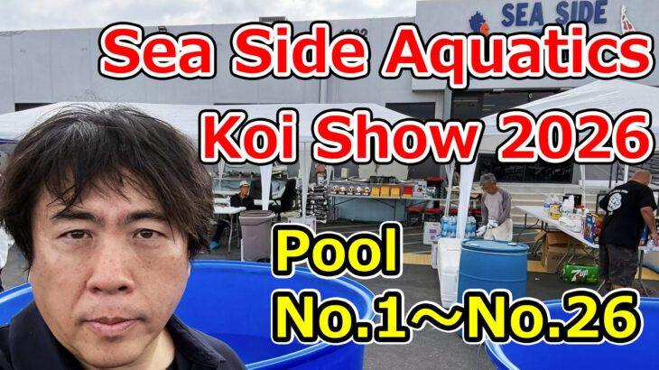 第4回 Sea Side Aquatics Koi Show 2026　YouTubeに公開しました！