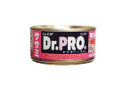 Dr.PRO. 80gʃTT~@Lp