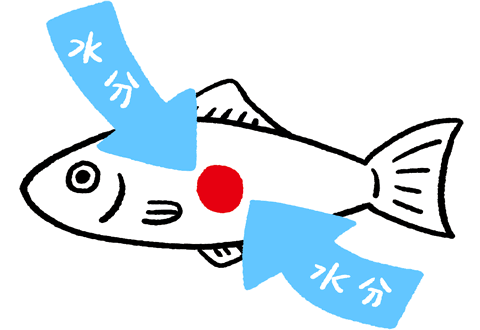 図:穴あき病の対策